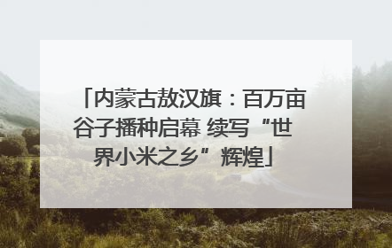 内蒙古敖汉旗：百万亩谷子播种启幕 续写“世界小米之乡”辉煌