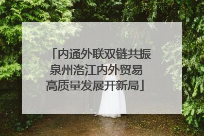 内通外联双链共振 泉州洛江内外贸易高质量发展开新局