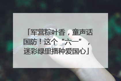 军营粽叶香，童声话国防！这个“六一”，迷彩绿里播种爱国心