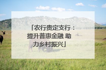 农行贵定支行：提升普惠金融 助力乡村振兴