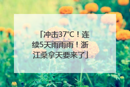 冲击37℃！连续5天雨雨雨！浙江桑拿天要来了