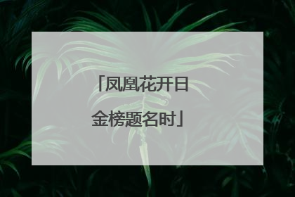 凤凰花开日 金榜题名时