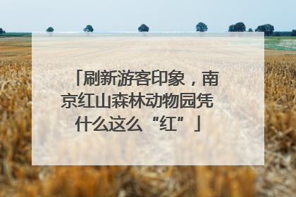 刷新游客印象，南京红山森林动物园凭什么这么“红”