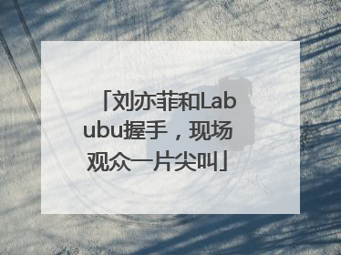 刘亦菲和Labubu握手，现场观众一片尖叫