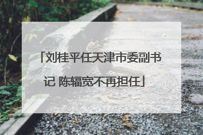 刘桂平任天津市委副书记 陈辐宽不再担任