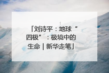 刘诗平：地球“四极”：极境中的生命｜新华走笔