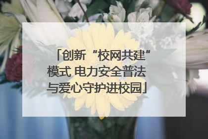 创新“校网共建”模式 电力安全普法与爱心守护进校园