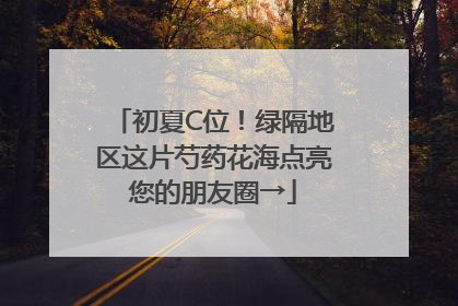 初夏C位！绿隔地区这片芍药花海点亮您的朋友圈→