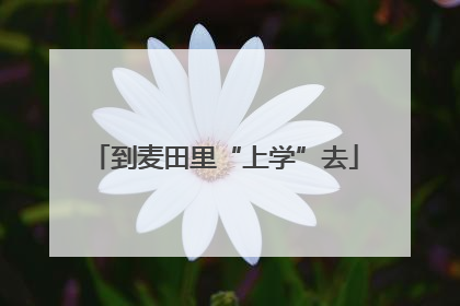 到麦田里“上学”去