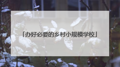 办好必要的乡村小规模学校