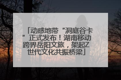 动感地带“洞庭谷卡”正式发布！湖南移动跨界岳阳文旅，架起Z世代文化共振桥梁