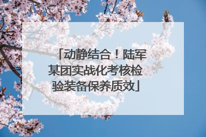 动静结合！陆军某团实战化考核检验装备保养质效