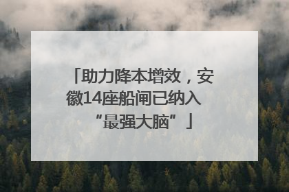 助力降本增效，安徽14座船闸已纳入“最强大脑”
