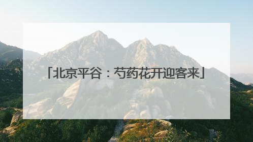 北京平谷：芍药花开迎客来