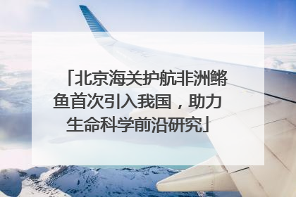 北京海关护航非洲鳉鱼首次引入我国，助力生命科学前沿研究