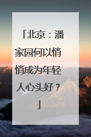 北京：潘家园何以悄悄成为年轻人心头好？