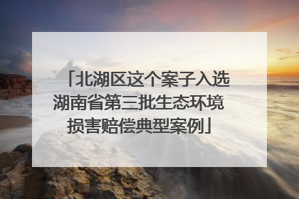 北湖区这个案子入选湖南省第三批生态环境损害赔偿典型案例
