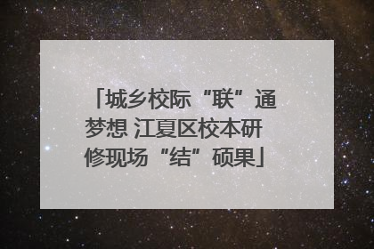 城乡校际“联”通梦想 江夏区校本研修现场“结”硕果