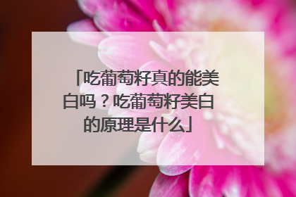 吃葡萄籽真的能美白吗？吃葡萄籽美白的原理是什么