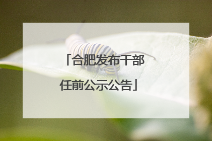 合肥发布干部任前公示公告