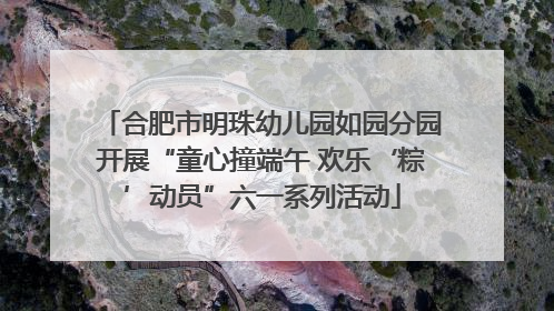合肥市明珠幼儿园如园分园开展“童心撞端午 欢乐‘粽’动员”六一系列活动