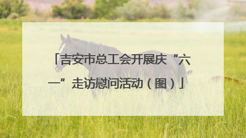 吉安市总工会开展庆“六一”走访慰问活动（图）