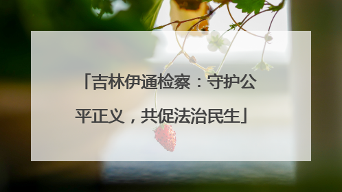 吉林伊通检察：守护公平正义，共促法治民生