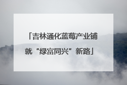 吉林通化蓝莓产业铺就“绿富同兴”新路