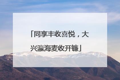 同享丰收喜悦，大兴瀛海麦收开镰