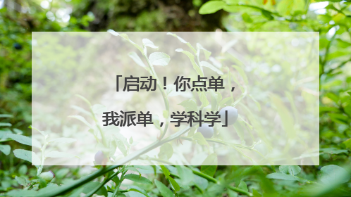 启动！你点单，我派单，学科学