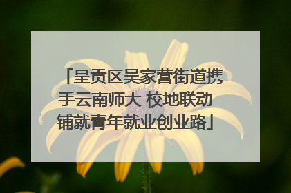 呈贡区吴家营街道携手云南师大 校地联动铺就青年就业创业路