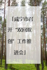 咸宁市召开“双回双创”工作推进会