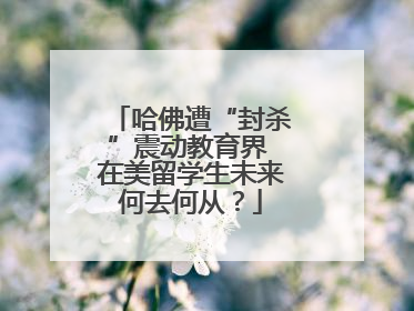 哈佛遭“封杀”震动教育界 在美留学生未来何去何从？