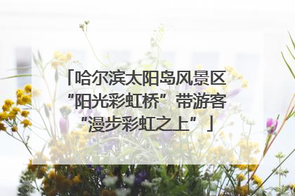 哈尔滨太阳岛风景区“阳光彩虹桥”带游客“漫步彩虹之上”