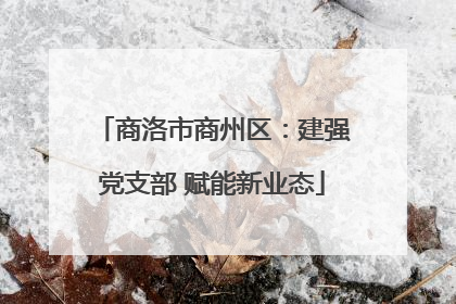 商洛市商州区：建强党支部 赋能新业态
