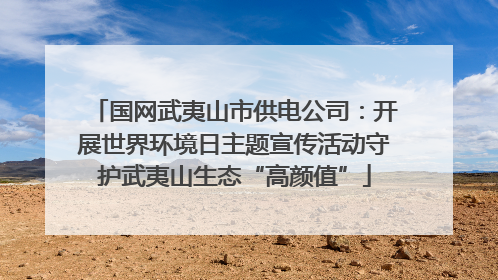 国网武夷山市供电公司：开展世界环境日主题宣传活动守护武夷山生态“高颜值”