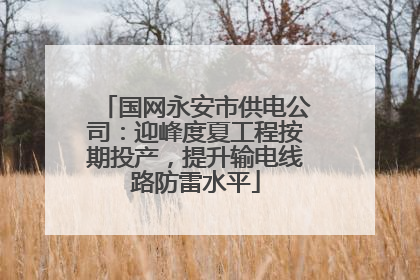 国网永安市供电公司：迎峰度夏工程按期投产，提升输电线路防雷水平