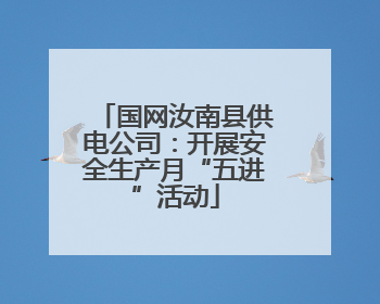 国网汝南县供电公司：开展安全生产月“五进”活动