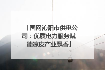 国网沁阳市供电公司：优质电力服务赋能凉皮产业飘香