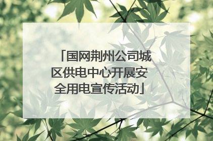 国网荆州公司城区供电中心开展安全用电宣传活动