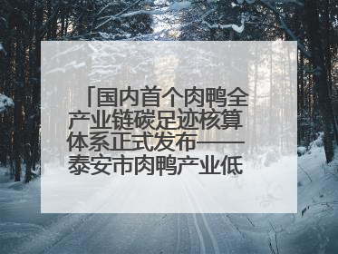 国内首个肉鸭全产业链碳足迹核算体系正式发布——泰安市肉鸭产业低碳发展标准示范项目顺利通过验收