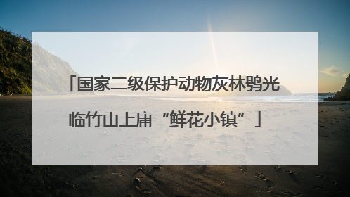 国家二级保护动物灰林鸮光临竹山上庸“鲜花小镇”
