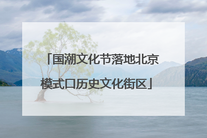 国潮文化节落地北京模式口历史文化街区