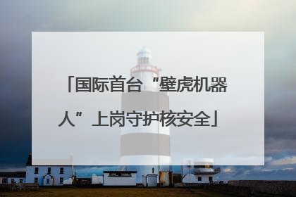 国际首台“壁虎机器人”上岗守护核安全