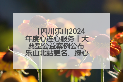 四川乐山2024年度心连心服务十大典型公益案例公布 乐山北站更名、绿心路井盖治理等上榜