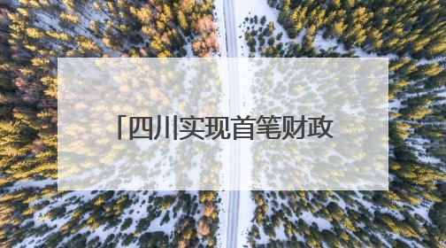 四川实现首笔财政电子票据跨省报销