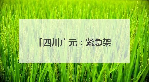 四川广元：紧急架线通电 打通秧田灌溉“生命线”