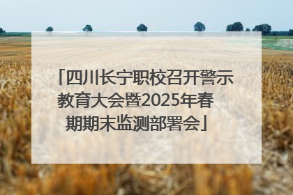 四川长宁职校召开警示教育大会暨2025年春期期末监测部署会