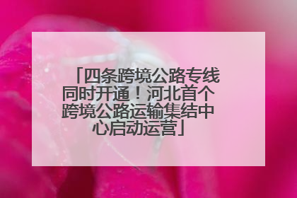 四条跨境公路专线同时开通！河北首个跨境公路运输集结中心启动运营