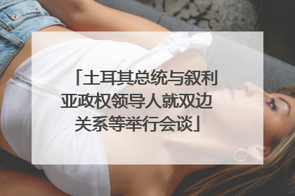 土耳其总统与叙利亚政权领导人就双边关系等举行会谈